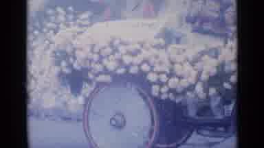 Cannes France (1962): A Girl And The Back Of A Cart Or Car With Flowers Marching
