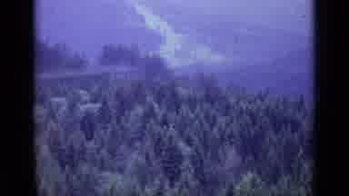 Lucerne Switzerland (1962): A Beautiful Pine Forest See From Above