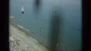 Monaco City (1962): Driving By On The Bridge And Looking Down At The Water Filled