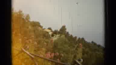 Nice France (1962): Watching Nature Outside Wind Blowing Flowers During The Bright