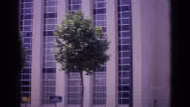 Paris France (1962): Driving Down The Street Looking At The Decorative Facade On