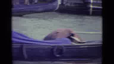 Venice Italy (1962): Boat Sailing In The Canals And A Man Is Walking By Before A