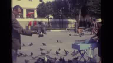 Venice Italy (1962): Man Holding His Hand Out While Two Pigeons Eat Off Of His