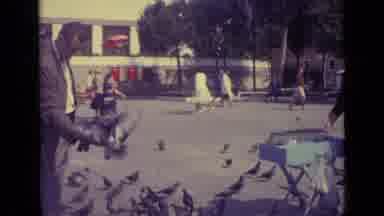 Venice Italy (1962): Person Holding Out His Hand As Pigeons Feed Off Of His Hand