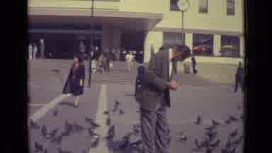 Venice Italy (1962): Pigeon Feeding Square Gray Suit Fotographer