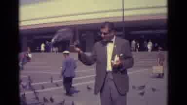 Venice Italy (1962): Man Feeds Pigeons In Shopping Center Parking On Sunny Day