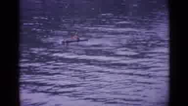 Versailles France (1962): A Man Floats In A Canoe On A Large Body Of Water