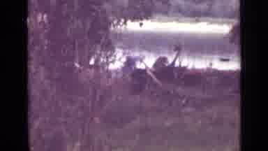 Saint Petersburg Russia (1967): A Footage Of A Forest With Lots Of Trees And A