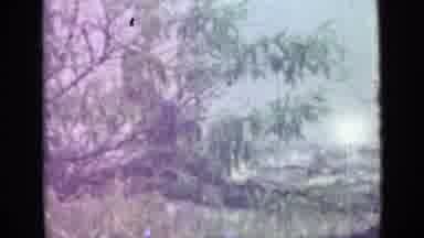 Saint Petersburg Russia (1967): Man Walking On The River Bank From Nowhere