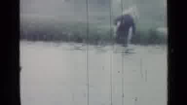 Saint Petersburg Russia (1967): A Man Walking Through A Swamp With Some Kind Of