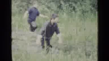 Saint Petersburg Russia (1967): Two Men Wading Through Knee Deep Swamp Picking Up