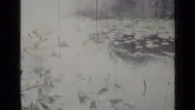 Saint Petersburg Russia (1967): Scenes Of A Jungle From Wildlife To Human Life