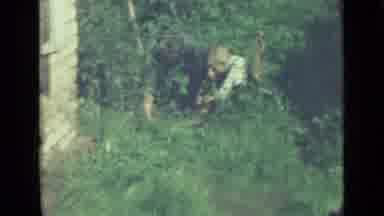 Saint Petersburg Russia (1967): People Pulling Weeds From A Garden