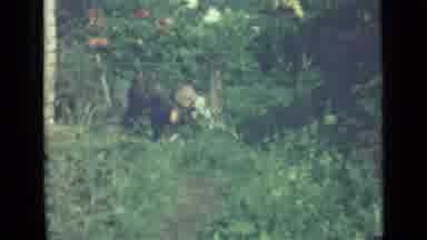 Saint Petersburg Russia (1967): A Father And A Son Doing Some Work In A Vegetable