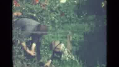 Saint Petersburg Russia (1967): Man And Small Child Picking Items From Garden On A