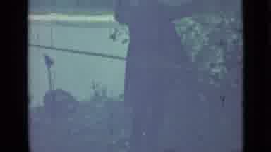 Saint Petersburg Russia (1967): Person Walking Up To An Overgrown Shrub Throwing