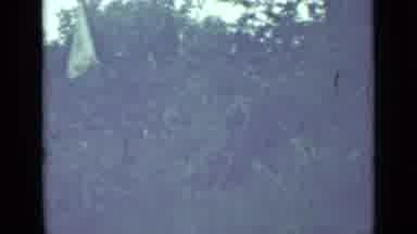 Saint Petersburg Russia (1967): The Camera Captures The Tops Of The Trees And The