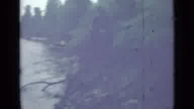 SAINT PETERSBURG RUSSIA-1967: Bird Flies Over Field Then Lake View
