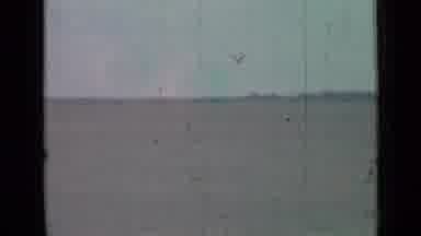 Saint Petersburg Russia (1967): White Bird Flies Over Ocean On A Bright Sunny Day