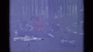 Saint Petersburg Russia (1967): People Sitting In A Forest Together With An Open