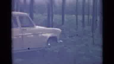 Saint Petersburg Russia (1967): Yellow Four Door Car Parked Near A Grove Of Ferns