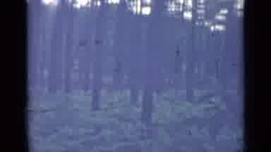 Saint Petersburg Russia (1967): Gray Mix Tape With A Lot Of Trees And A Strange