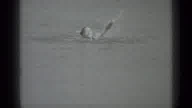 Moscow Russia (1983): Footage Of A Young Girl In A Lake Swimming Towards The