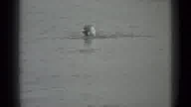 Moscow Russia (1983): Young Woman Smiling As She Is Swimming In A Body Of Water