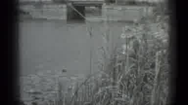 Moscow Russia (1983): The Wind Blows The Vegetation On The Pond
