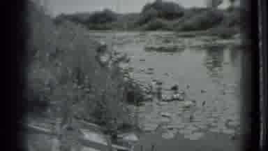 Moscow Russia (1983): Women Fishing In Tall Grass With Small Lake