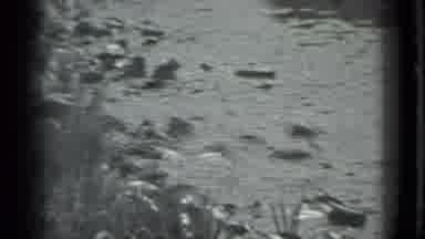 Moscow Russia (1983): Middle Aged Woman Near River Sets Up A Fishing Reel For A