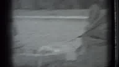 Moscow Russia (1983): Black And White Video Of People And Animals At A Campground