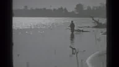 Moscow Russia (1983): Man Fishing At Beach Near Driftwood Trees On A Sunny Day