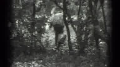 MOSCOW RUSSIA-1983: Lady Walking Through Trees And A Dog