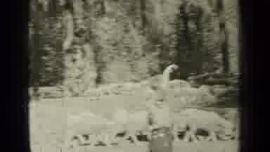 Bend Oregon (1937): Young Man Witnessing The Herding Of Sheep