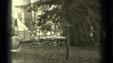 Bend Oregon (1937): Animals Fighting In The Woods