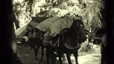 Bend Oregon (1937): People And Things Riding Horses Away From A Camp With Tents