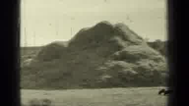 Bend Oregon (1937): Hogs Eating Dogs Running Hills Of Dirt And A Old School
