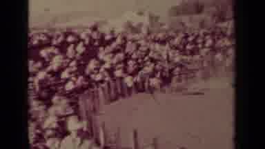 Klamath California (1937): Rider On Horse Chases Livestock Then Is Off His Horse