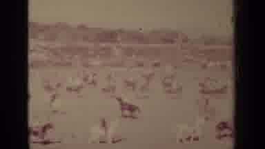 Klamath California (1937): A Bunch Of Folks On Their Horses Are Galloping Around