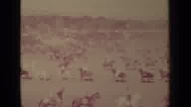 Klamath California (1937): Horseback Riders Convene At A Rodeo Or Some Sort Of