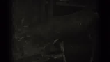 Klamath California (1937): Deer With Big Antlers Walking Away From Camera Chewing
