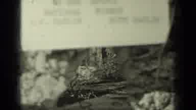 Klamath California (1937): Video Of Nature Under A Sign Then The View Of The