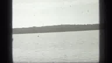 Long Lake Canada (1939): Coastline Viewed From The Ocean And Up Close In Wooded