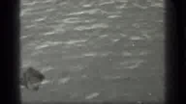 Long Lake Canada (1939): A Close Up Shot Of Gently Moving Water And A Cutaway Shot