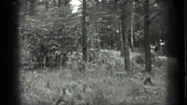 Long Lake Canada (1939): Black And White Footage Of Birdhouse And Car
