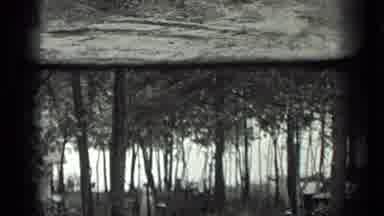 Long Lake Canada (1939): View Of Small Shack Sitting Behind Trees On A Clear Day
