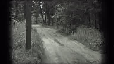 Long Lake Canada (1939): Country Road In The Woods