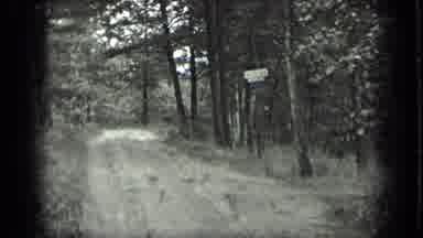 Long Lake Canada (1939): A Small Forest Area With A Road And With Some Boards On