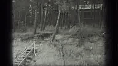 Long Lake Canada (1939): Old Stairs Going Up To A Cabin In The Woods